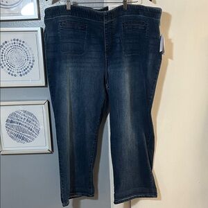 NWT Westbound High Rise Fit Crop Slim Leg Womens Plus Size 24W Pull On Blue Jean